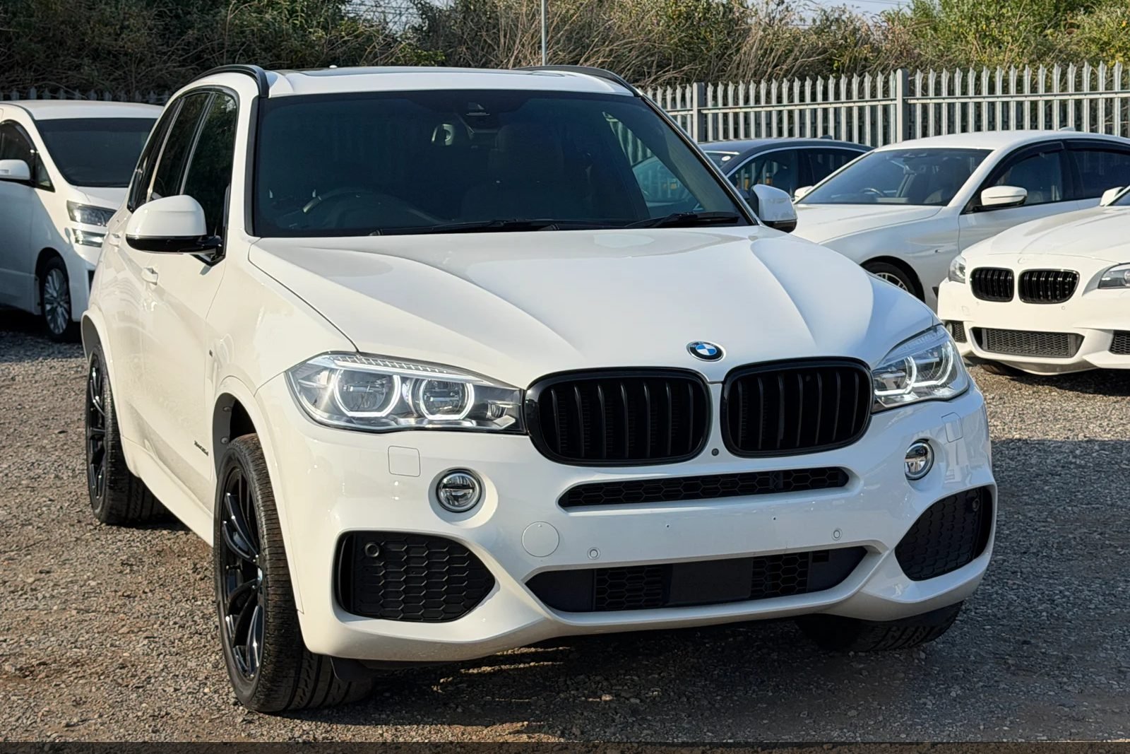 Dec 2018 BMW X5 3.0D M Sport Special White Edition (1 of 80)